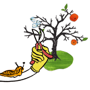 rauf & runter – naturgemäßer Obstbaumschnitt @ Gemeinschaftsgarten Gorbitz | Dresden | Sachsen | Deutschland