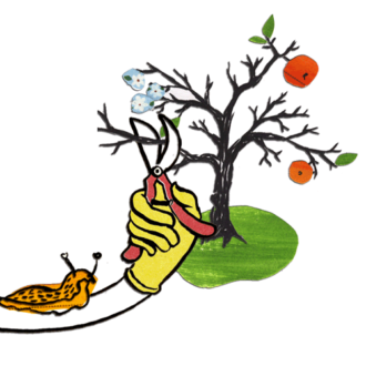 rauf & runter – naturgemäßer Obstbaumschnitt @ Gemeinschaftsgarten Gorbitz | Dresden | Sachsen | Deutschland