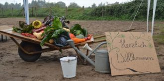 Hofrundgang und Infos zur SoLaWi deinHof für Neuinteressierte @ deinHof | Radebeul | Sachsen | Deutschland