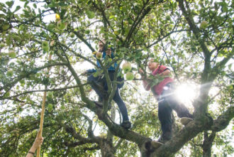 Neue Solidarische Streuobstwirtschaft feiert die Apfelblüte @ Streuobstwiesen in Niedergohlis | Dresden | Sachsen | Deutschland