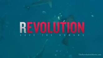 "(R)Evolution": Kinoabend im Garten @ Wurzelwerk Pieschen | Dresden | Sachsen | Deutschland