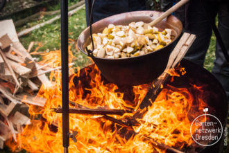 In den sauren Apfel beißen – Äpfel, Birnen, Quitten