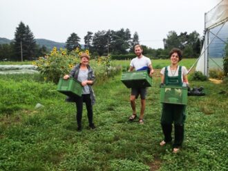 Mitmachtag Solawi dein Hof (solidarische Gemüsekoop) @ Hof der solidarischen Gemüsekoop dein Hof