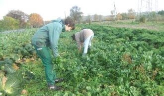 Mitmachtag @ Hof der solidarischen Gemüsekoop dein Hof