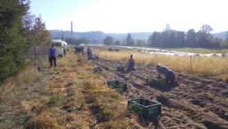 Mitmachtag mit kleiner Hofführung @ Hof der solidarischen Gemüsekoop dein Hof